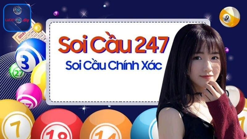 247 soi cau là lựa chọn hoàn hảo cho bạn