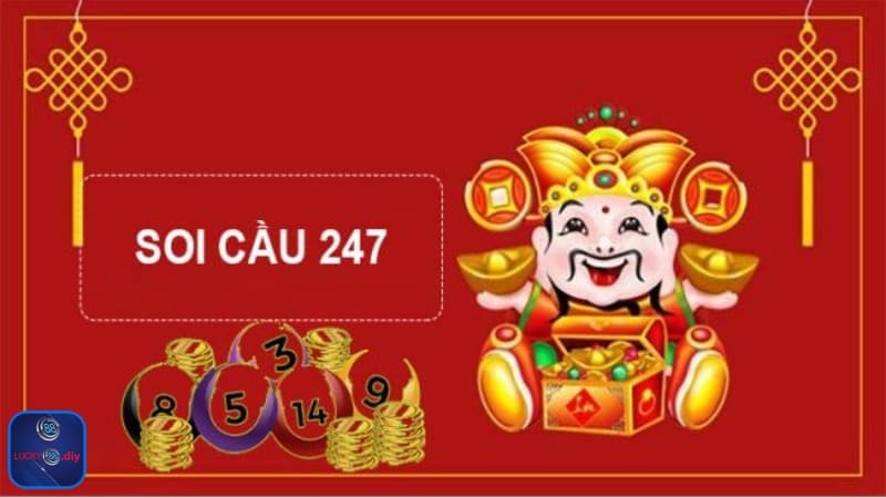 247 soi cau cam kết mang đến cho bạn những thông tin chính xác và hữu ích