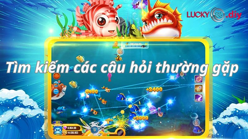 Tìm kiếm các câu hỏi thường gặp tại nền tảng Lucky88